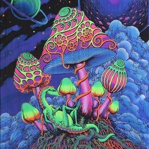 Meet your Posher, Steven